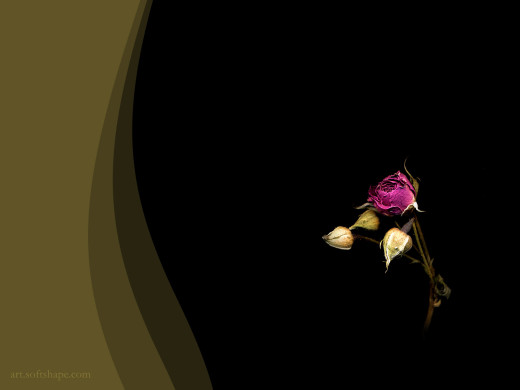 381674 (a): :1600x1200